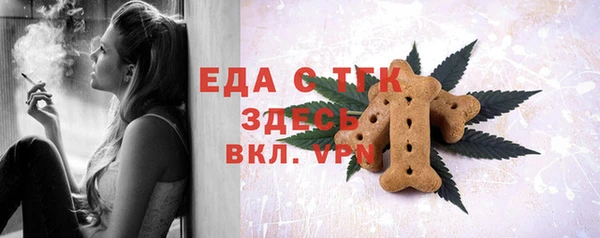 индика Осинники