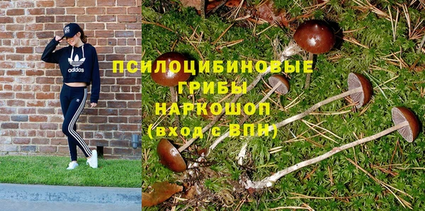 стаф Алексеевка