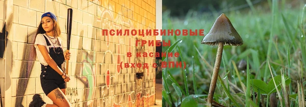 сатива Алзамай