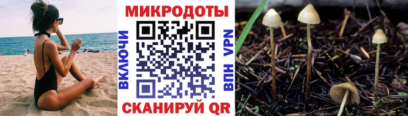 blacksprut вход  Ростов  Псилоцибиновые грибы ЛСД  купить наркотики сайты 
