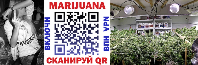 магазин продажи наркотиков  Ростов  Марихуана Amnesia 